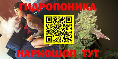 не бодяженный Бердск